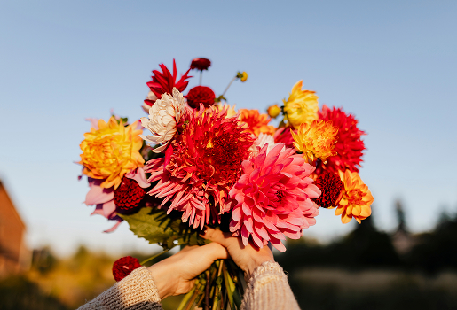 Création de bouquets de fleurs pour anniversaire, fêtes, St Valentin, fête des Mères à Toulouse (31)